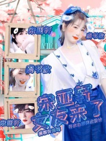 柠檬小黄鸭蓝导航